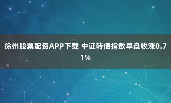 徐州股票配资APP下载 中证转债指数早盘收涨0.71%